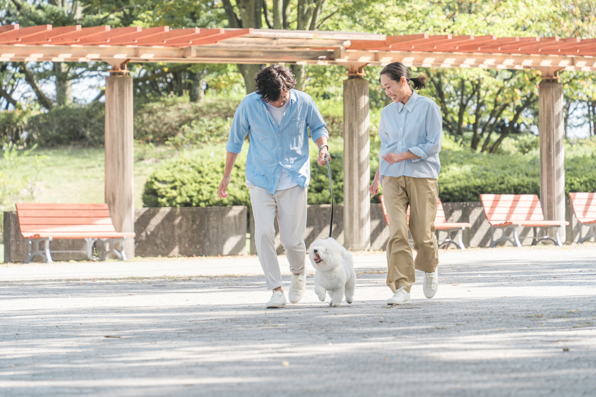 『新しい出会い🍀で人生を変えよう！あなたの幸せを引き寄せる再婚支援』
